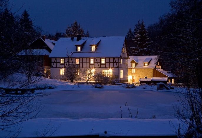 Bild 11