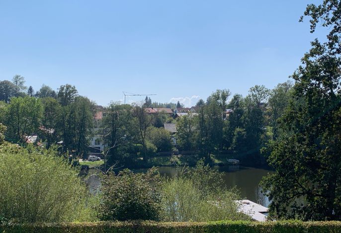 Bild 12