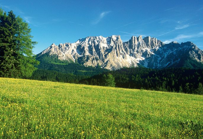 Bild 36