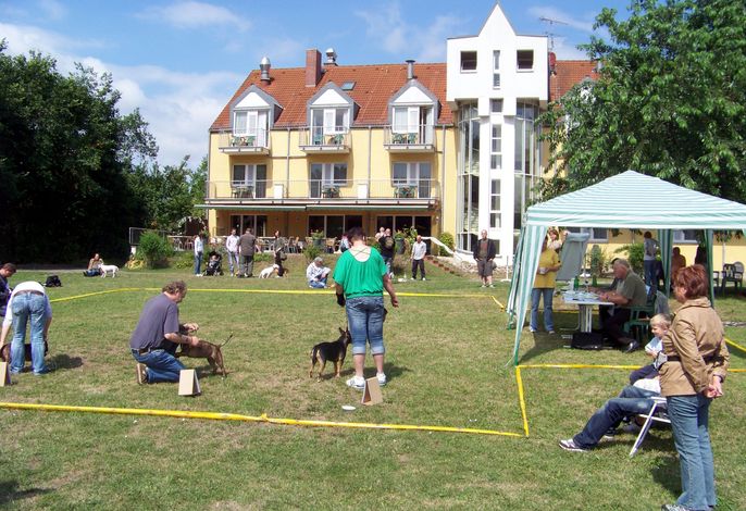 Bild 19