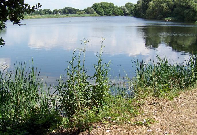 Bild 18