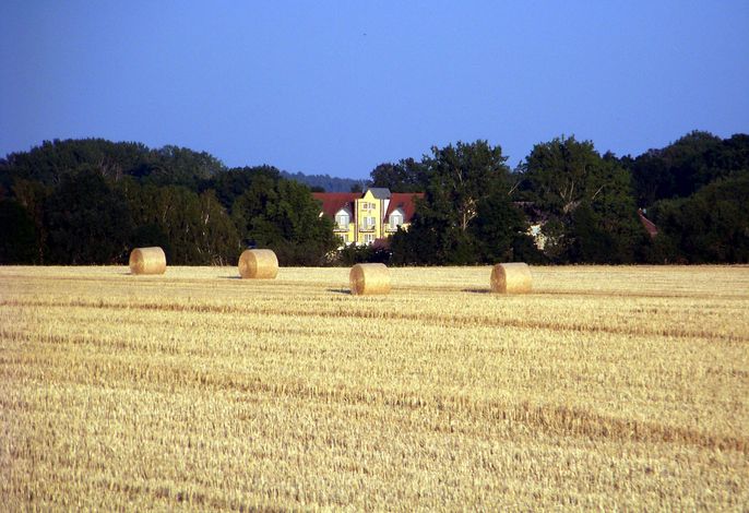 Bild 28