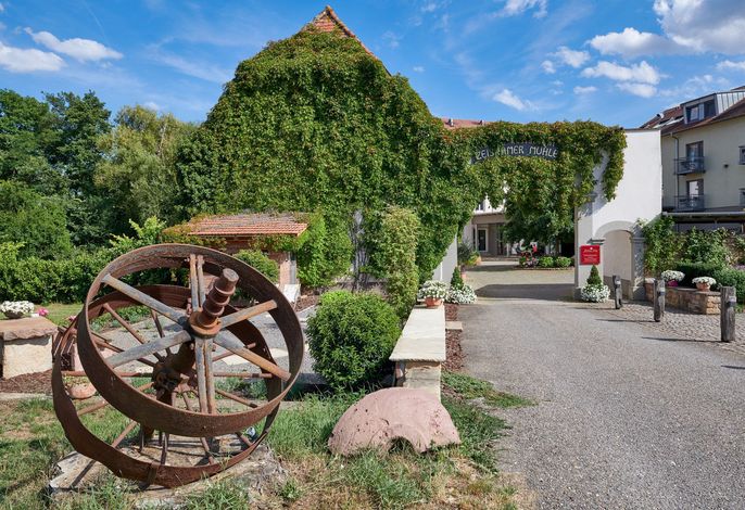 Bild 12