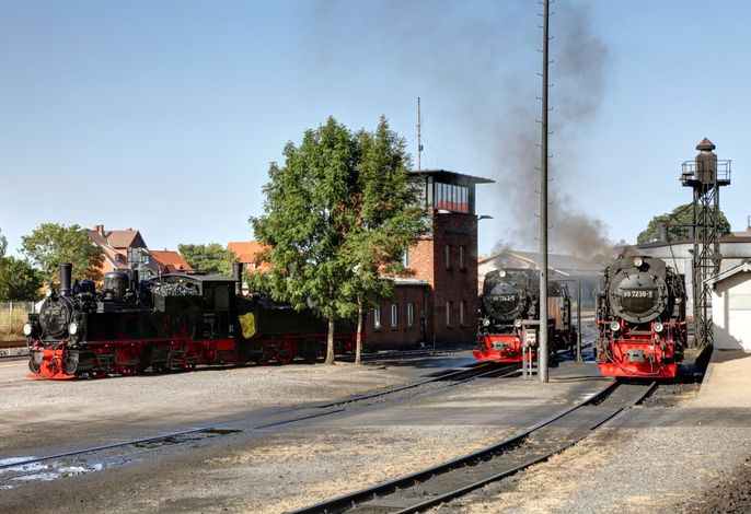 Bild 14