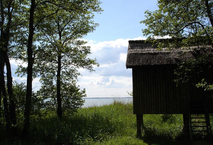 Bild 19
