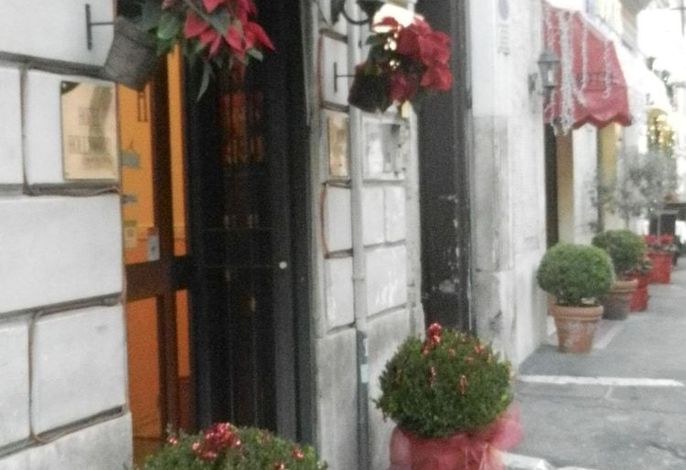 Bild 7