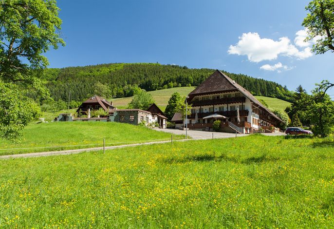 Hauptbild