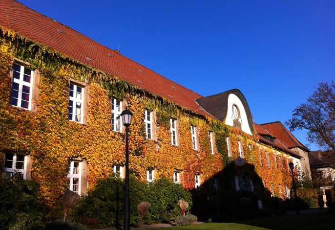 Bild 42