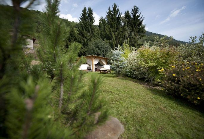 Bild 121