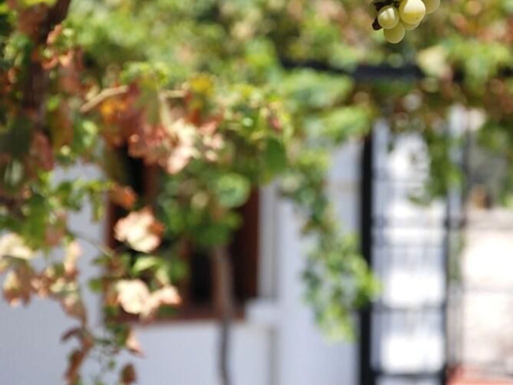 Kontoyiannis House