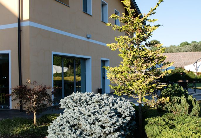 Bild 19