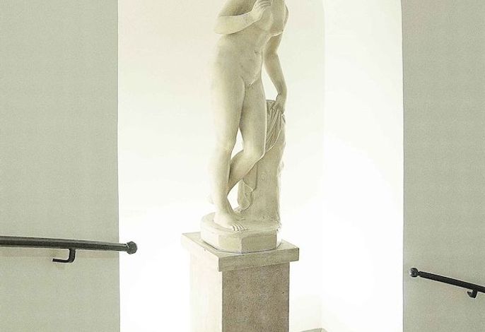 Bild 253