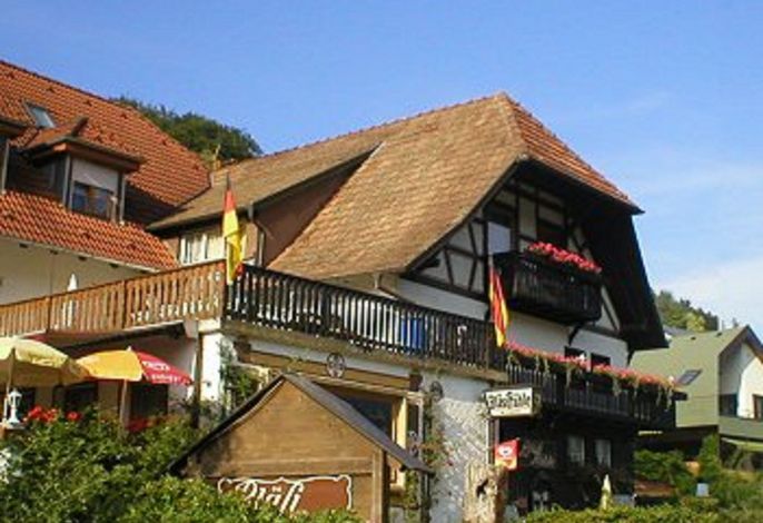 Bild 12