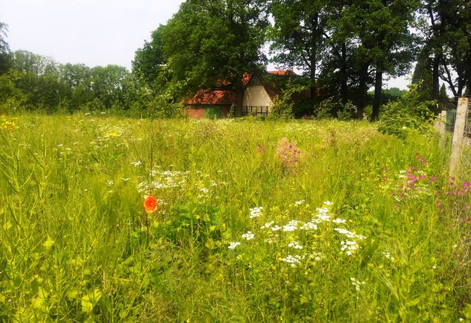 Bild 15
