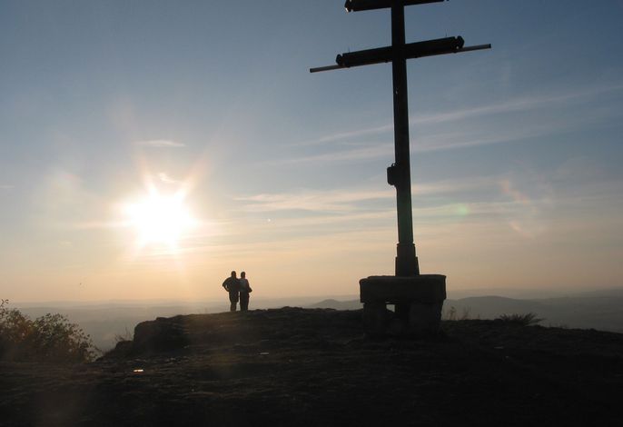 Bild 15