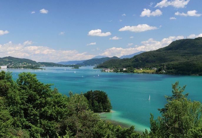 Bild 13