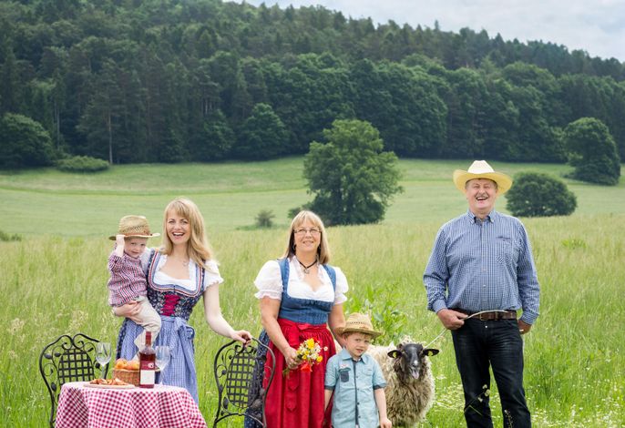 Bild 7
