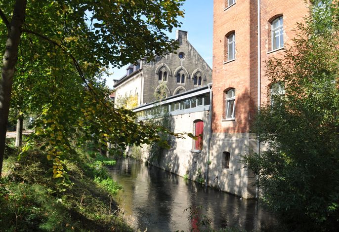 Bild 15