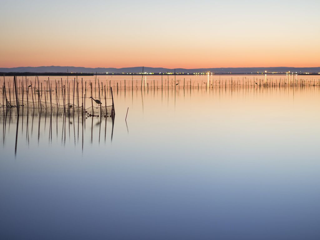 Albufera Aparthotel
