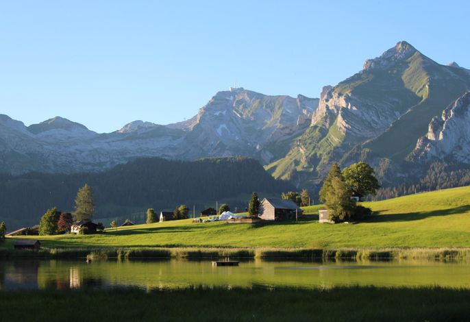 Bild 12