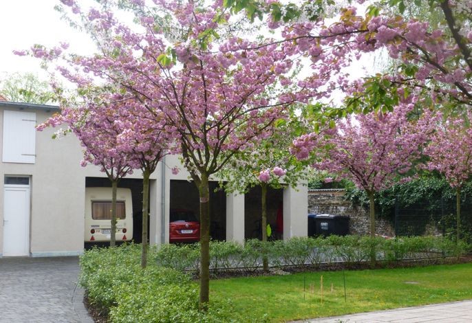 Bild 19