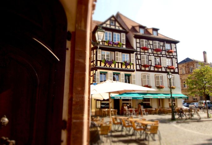 Bild 10