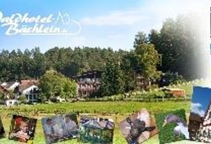 Waldhotel Bächlein