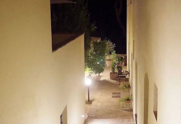 Bild 53