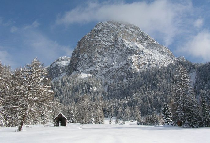 Bild 18