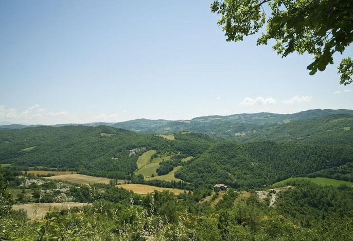Bild 13