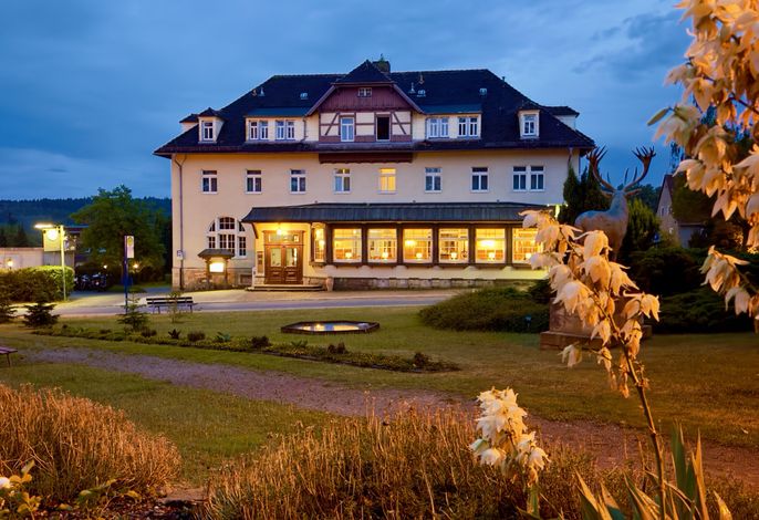Bild 19