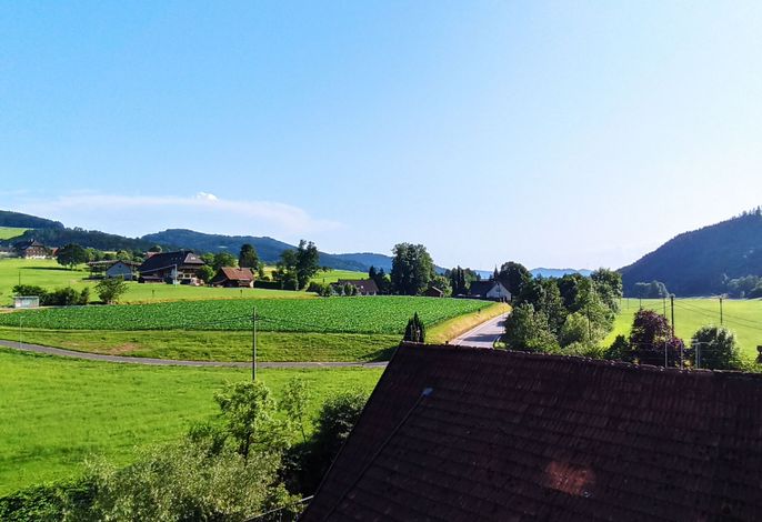 Bild 14