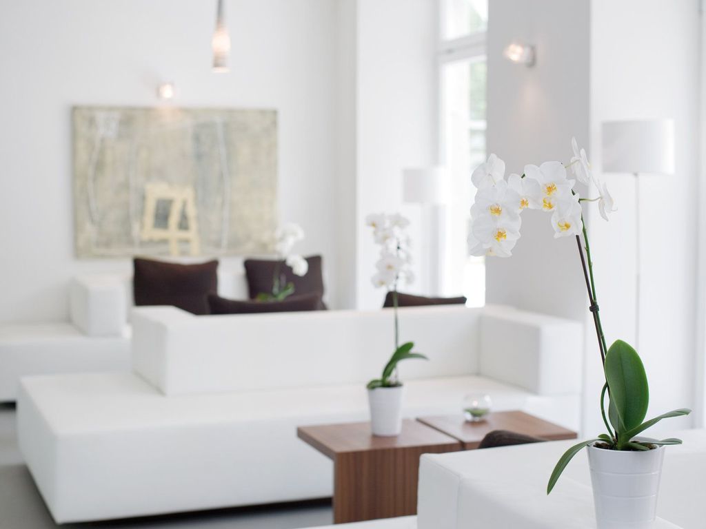 Constantia