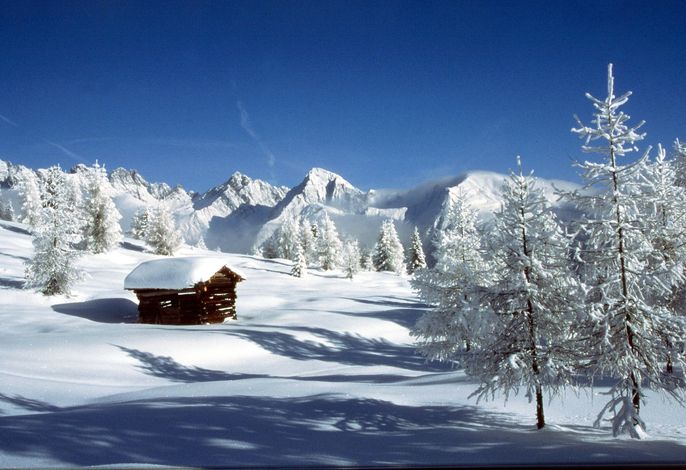 Bild 58