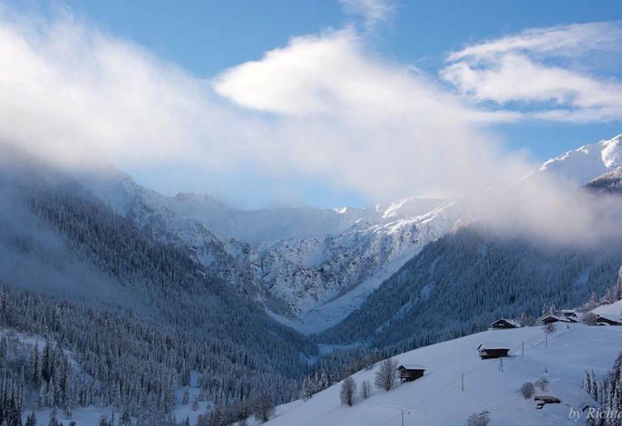 Bild 63