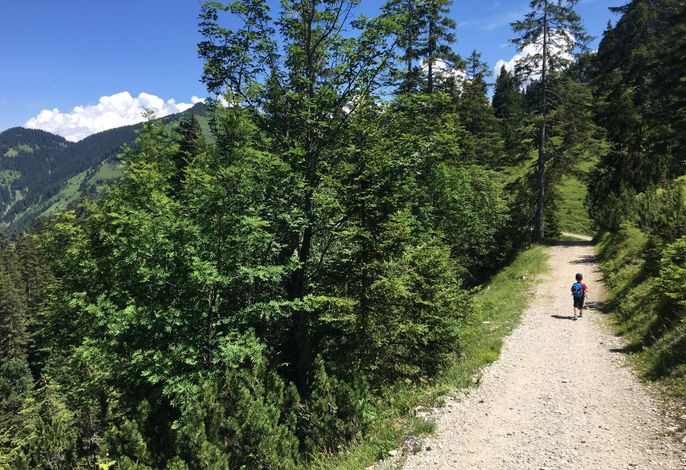 Bild 14
