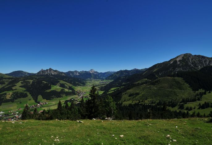 Bild 15
