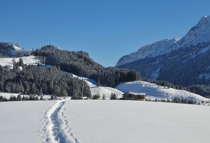 Bild 17