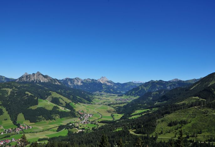 Bild 21