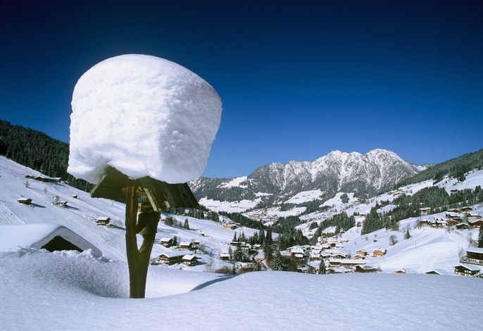 Bild 72