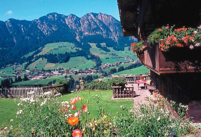Bild 95