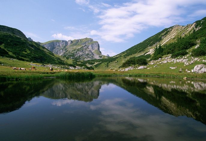 Bild 106