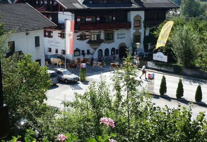 Bild 99