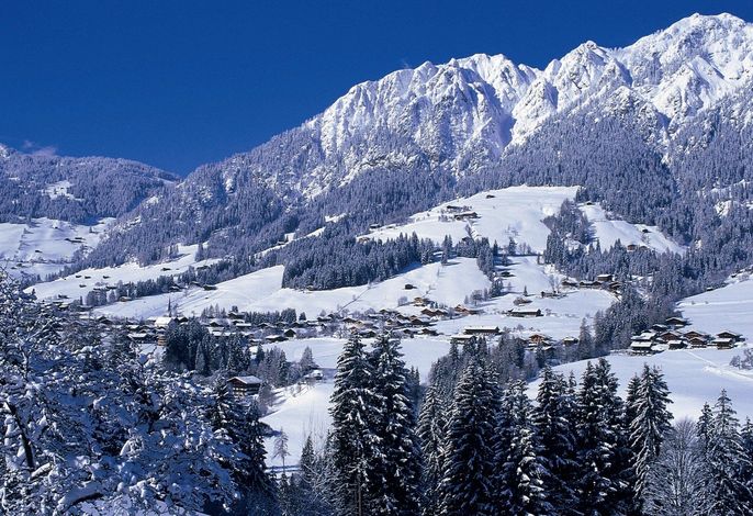 Bild 113