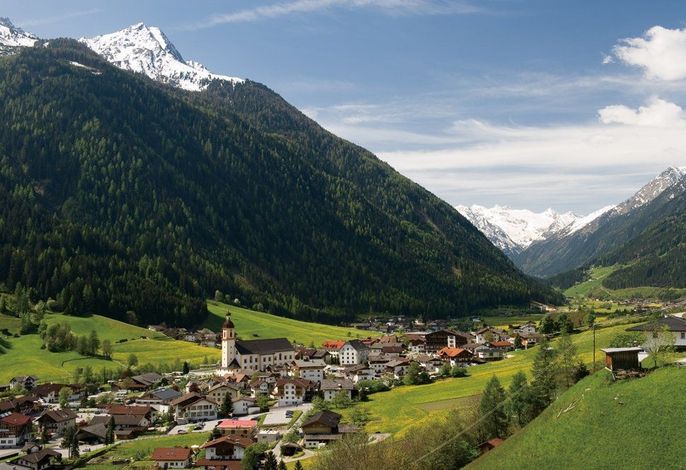 Bild 12