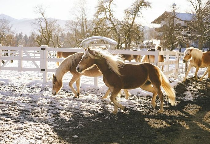 Bild 85