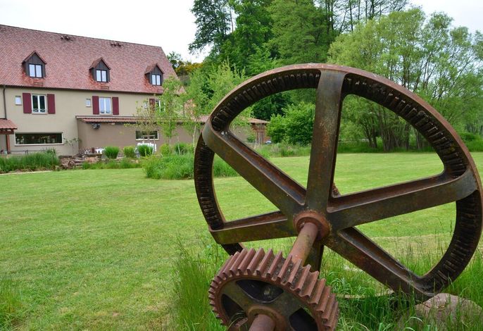 Bild 5