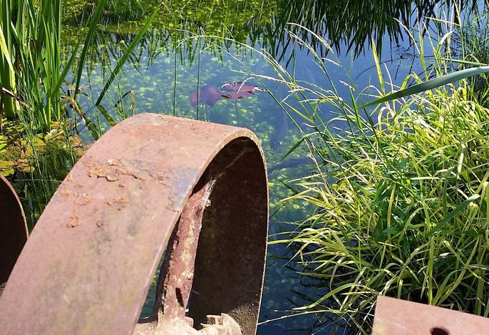 Bild 22