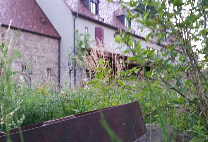Bild 15