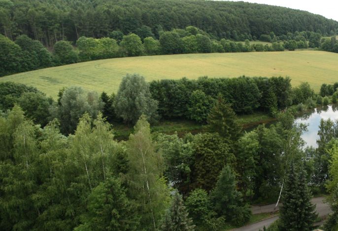 Bild 16